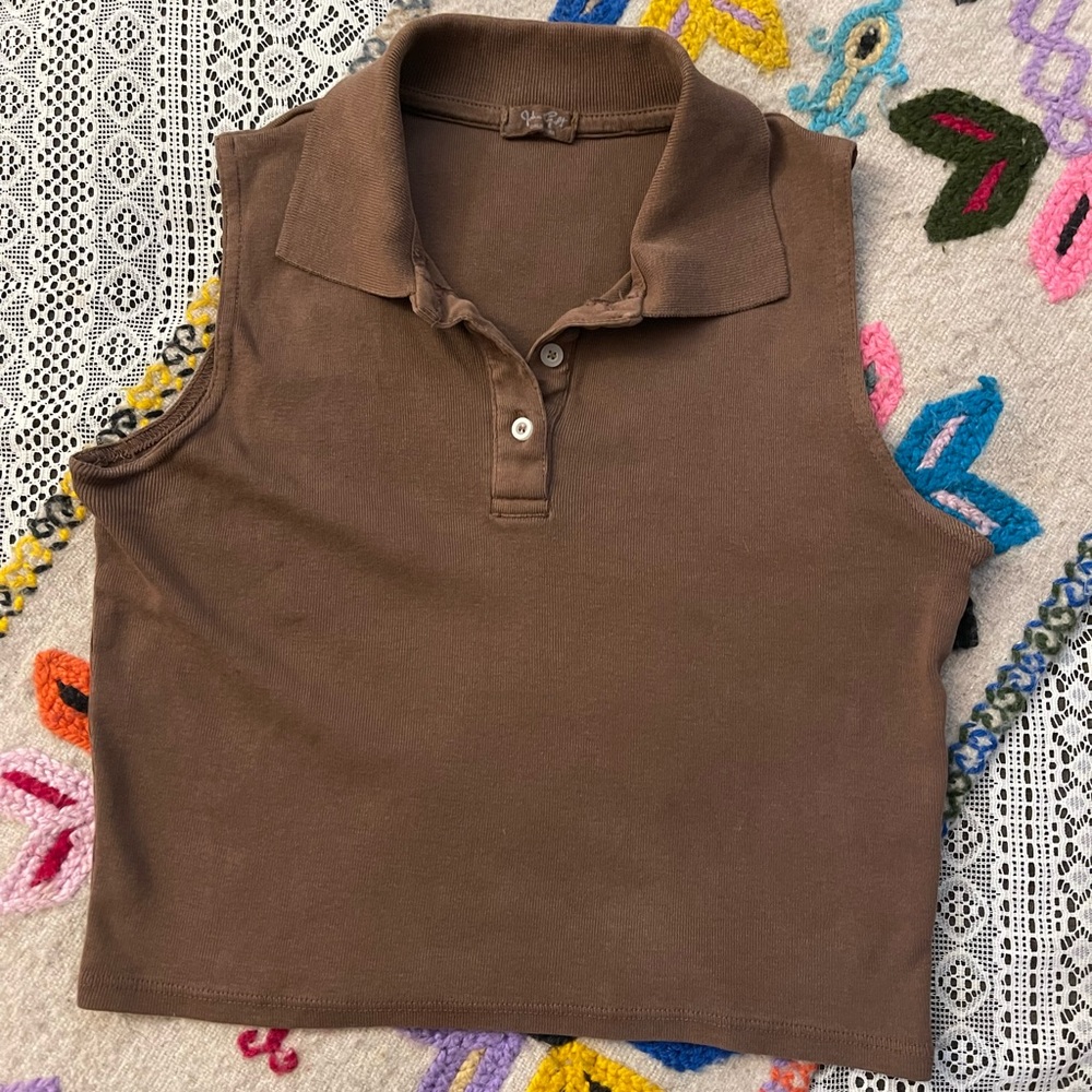 John Galt by Brandy Melville Brown Crop Top